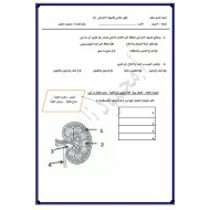 ورقة عمل تقييم ختامي الجهاز الإخراجي الأحياء الصف التاسع متقدم