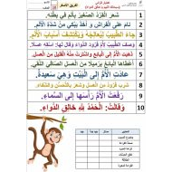 ورقة عمل اختبار قرائي اللغة العربية الصف الأول - بوربوينت