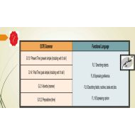 مراجعة القواعد Grammar اللغة الإنجليزية الصف الثالث