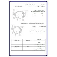 ورقة عمل تقييم ختامي الحواس البصر الأحياء الصف التاسع متقدم