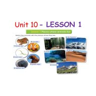 حل درس LESSON 1 Place where animals live اللغة الإنجليزية الصف السادس - بوربوينت