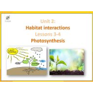 حل درس Photosynthesis اللغة الإنجليزية الصف التاسع - بوربوينت