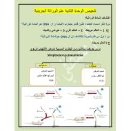 ملخص الوحدة الثانية علم الوراثة الجزيئية الصف الحادي عشر متقدم مادة الاحياء