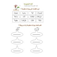 أوراق عمل التاء المفتوحة والتاء المربوطة اللغة العربية الصف الثاني