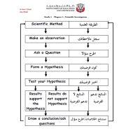 العلوم المتكاملة ملخص (شامل باللغتين) للصف الرابع