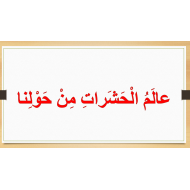 مفردات وتراكيب درس عالم الحشرات من حولنا الصف الثاني مادة اللغة العربية - بوربوينت