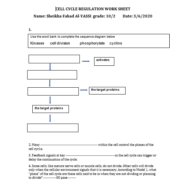 الأحياء ورقة عمل (CELL CYCLE REGULATION) بالإنجليزي للصف العاشر