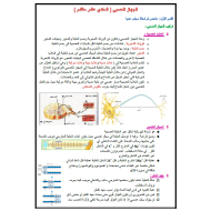 الأحياء ملخص (الجهاز العصبي) للصف الحادي عشر متقدم