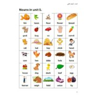 مراجعة عامة Nouns in unit 5 اللغة الإنجليزية الصف الثاني