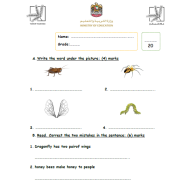 اللغة الإنجليزية ورقة عمل (Unit 6 Test) للصف الثالث