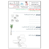 العلوم المتكاملة ورقة عمل (ما تحتاج إليه النبات) للصف الثاني