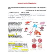 ملخص body system العلوم المتكاملة الصف السادس