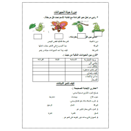 العلوم المتكاملة ورقة عمل (دورة حياة الحيوانات) للصف الثاني