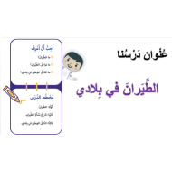 الدراسات الإجتماعية والتربية الوطنية بوربوينت درس (الطيران في بلادي) للصف الثاني