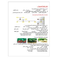 أوراق عمل الوراثة المعقدة الأحياء الصف الحادي عشر