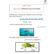 مراجعة Vocabulary Different Types of Animals العلوم المتكاملة الصف الأول