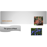 التربية الإسلامية بوربوينت (The grace of Plant) لغير الناطقين باللغة العربية للصف الثاني مع الإجابات