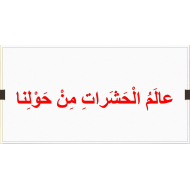 اللغة العربية بوربوينت مفردات درس (عالم الحشرات من حولنا) للصف الثاني