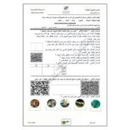 ورقة عمل الإمارات قبل الاتحاد الدراسات الإجتماعية والتربية الوطنية الصف الرابع