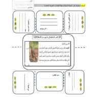ورقة عمل النباتات الحولية والحيوانات البرية الدراسات الإجتماعية والتربية الوطنية الصف السابع