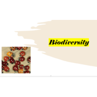 الأحياء بوربوينت درس (Biodiversity) بالإنجليزي للصف التاسع