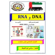 ملخص DNA و RNA الفصل الدراسي الاول للصف الحادي عشر متقدم مادة الاحياء