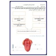 ورقة عمل تقييم ختامي الحواس والتذوق والشم الأحياء الصف التاسع متقدم