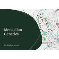درس Mendelian Genetics الأحياء الصف الحادي عشر - بوربوينت