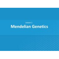 درس Mendelian Genetics الأحياء الصف العاشر - بوربوينت