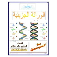 الأحياء أوراق عمل (الوراثة الجزيئية) للصف الحادي عشر متقدم مع الإجابات