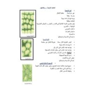 ملخص درس الخلايا النباتية ووظائفها الأحياء الصف العاشر