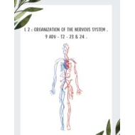 ملخص Organization of the nervous system الأحياء الصف التاسع متقدم