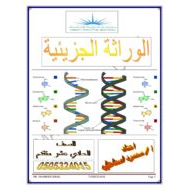 ملخص درس الوراثة الجزيئية الصف الحادي عشر متقدم مادة الاحياء