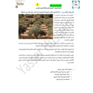 الاختبار التدريبي الأول اللغة العربية الصف الخامس
