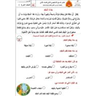 اختبار المسح التشخيصي اللغة العربية الصف الثاني - بوربوينت