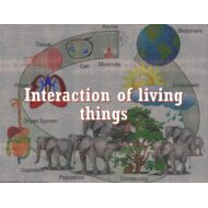 درس Interaction of living things العلوم المتكاملة الصف الخامس - بوربوينت