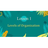 درس Levels of Organization العلوم المتكاملة الصف السابع Elite - بوربوينت