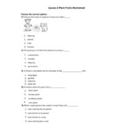 أوراق عمل Plant Traits العلوم المتكاملة الصف الثالث