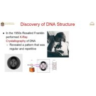 درس Discovery of DNA Structure الأحياء الصف العاشر نخبة - بوربوينت