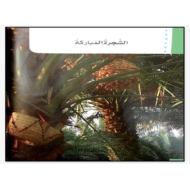 اللغة العربية بوربوينت درس الشجرة المباركة للصف الخامس مع الإجابات