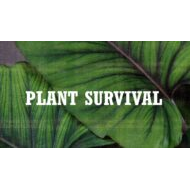 درس Plant survival العلوم المتكاملة الصف الخامس - بوربوينت