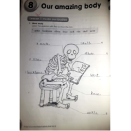 اللغة الإنجليزية الوحدة الثامنة (Our amazing body) للصف الرابع مع الإجابات