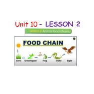 حل درس LESSON 2 animal food chains اللغة الإنجليزية الصف السادس - بوربوينت