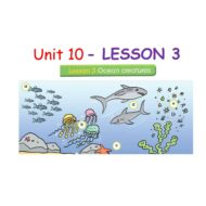 حل درس LESSON 3 Oceans creatures اللغة الإنجليزية الصف السادس - بوربوينت