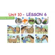 حل درس LESSON 6 Looking after pets اللغة الإنجليزية الصف السادس - بوربوينت