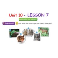 حل درس LESSON 7 Advice for pet owners اللغة الإنجليزية الصف السادس - بوربوينت