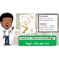 حل درس LESSON 2 animal camouflage اللغة الإنجليزية الصف السادس Access - بوربوينت