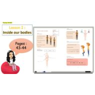 حل درس Inside our bodies اللغة الإنجليزية الصف الرابع Access - بوربوينت