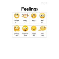 ورقة عمل Feelings اللغة الإنجليزية الصف الثالث
