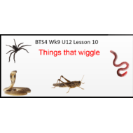 اللغة الإنجليزية بوربوينت الدرس (Unit 12 Lesson 10) للصف الرابع مع الإجابات